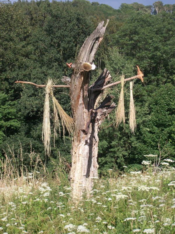 Bild von der Obstwiese Bärenstein